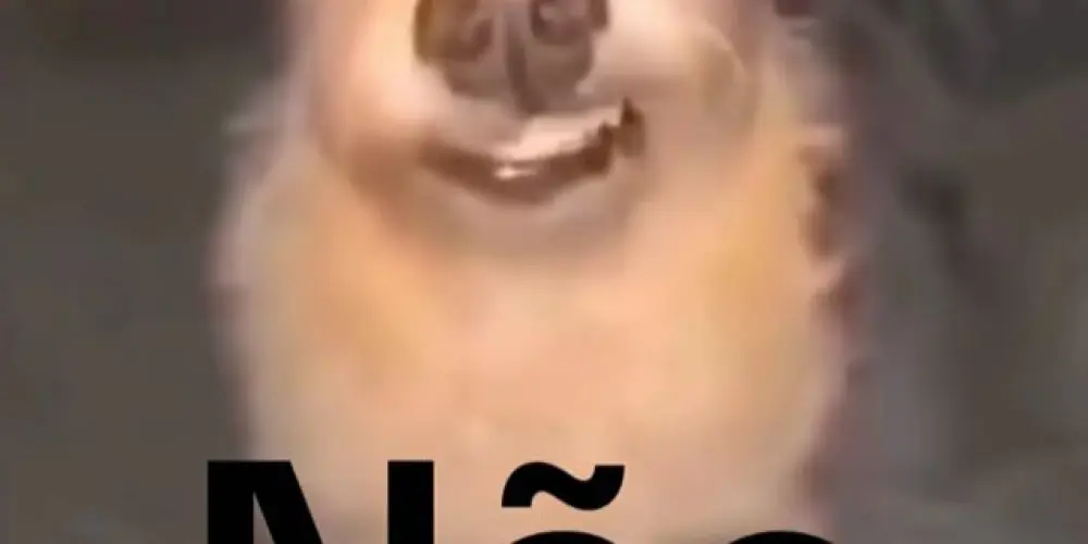 Imagem do grupo de WhatsApp AMIZADESSSS