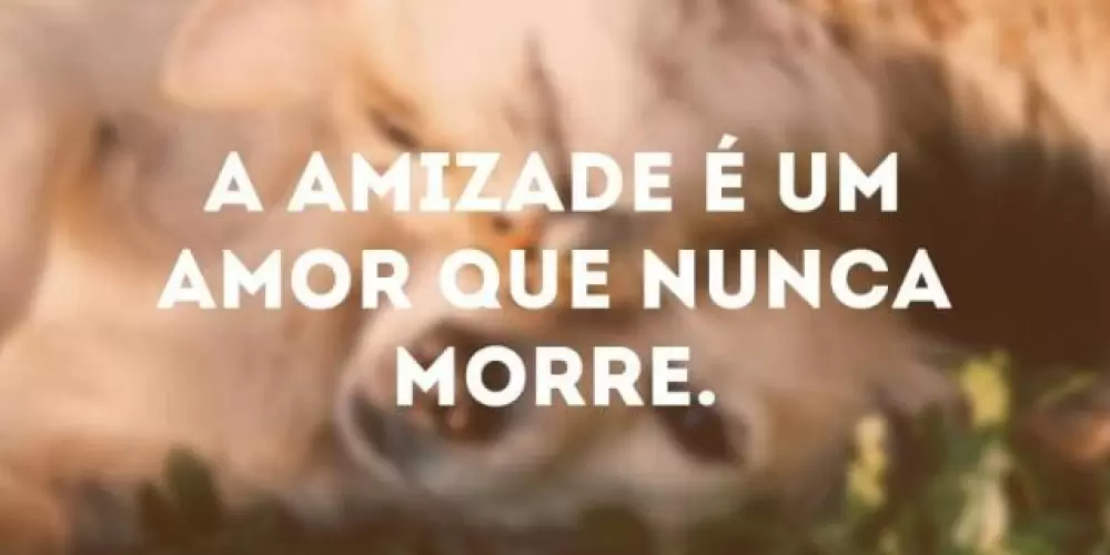 Imagem do grupo de WhatsApp Amor blindado ,,,2024🙏👩‍❤️‍👨❤️