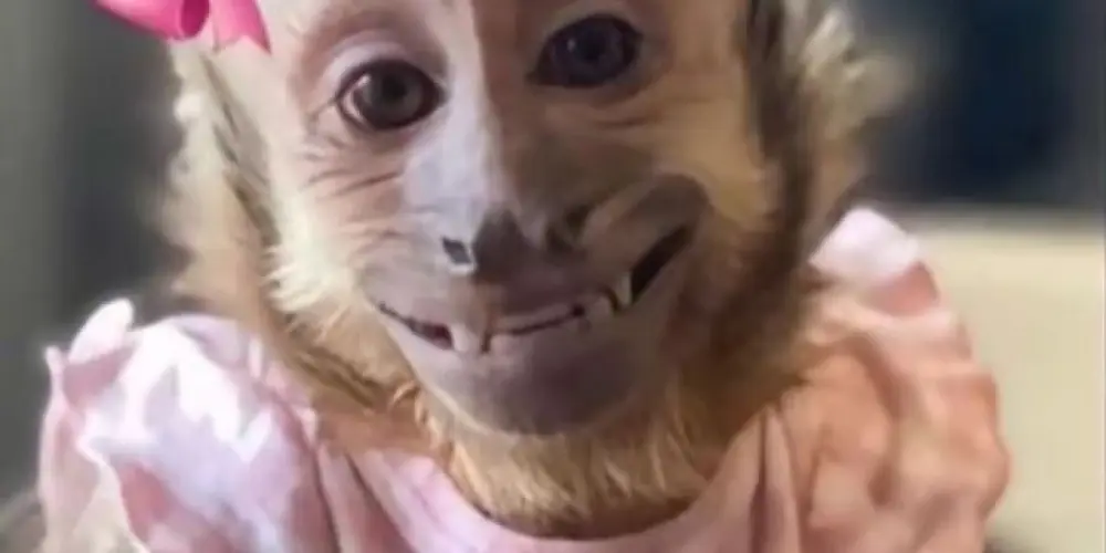 Imagem do grupo de WhatsApp Amor e Amizade