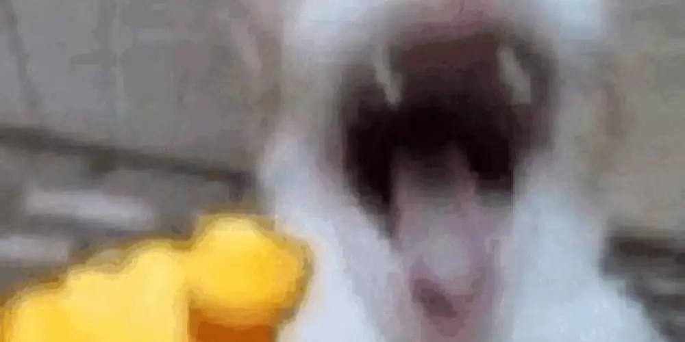 Imagem do grupo de WhatsApp AMOR E AMIZADES🚨