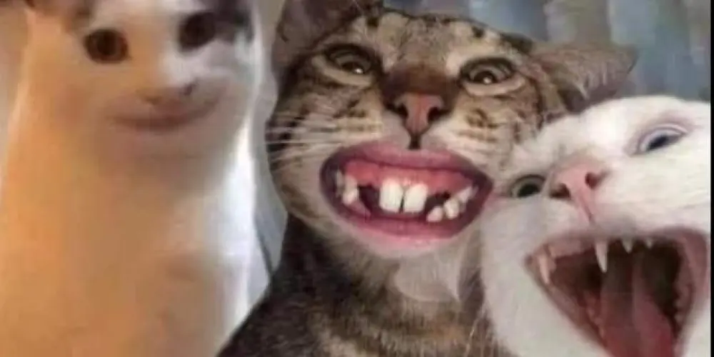 Imagem do grupo de WhatsApp 👉Amor e odeio apenas👈