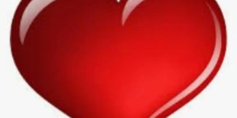 Imagem do grupo de WhatsApp AMOR EXISTE