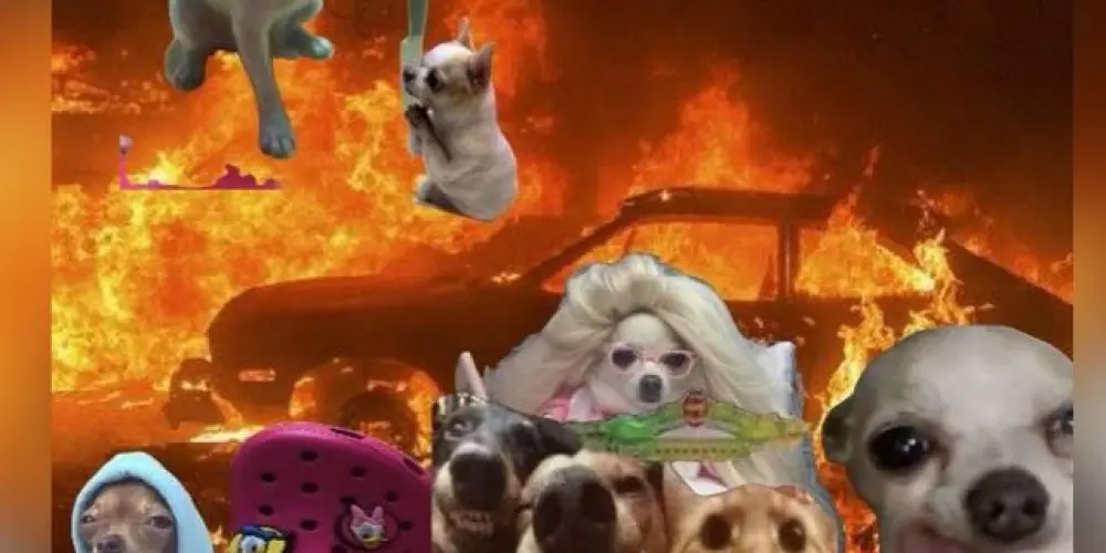 Imagem do grupo de WhatsApp 💯Amor & fudidos😝