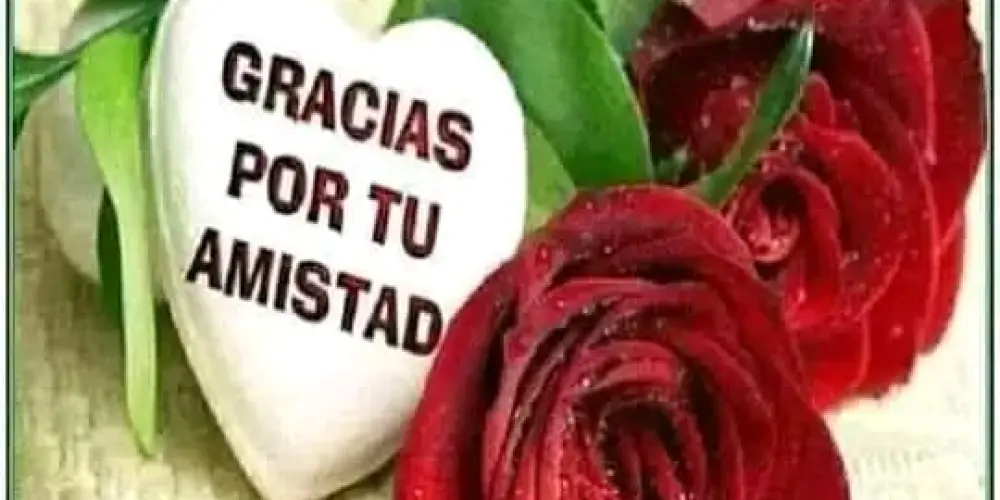 Imagem do grupo de WhatsApp ❤️Amor ou amizade?🤝🤜🏻🤛🏻