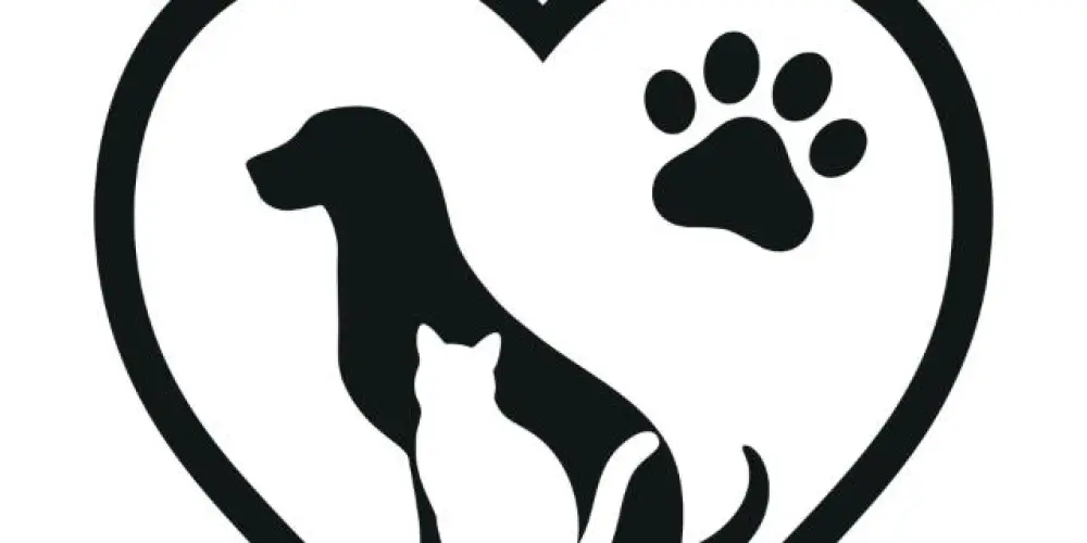 Imagem do grupo de WhatsApp AMOR POR PETS❤️🐶🐱