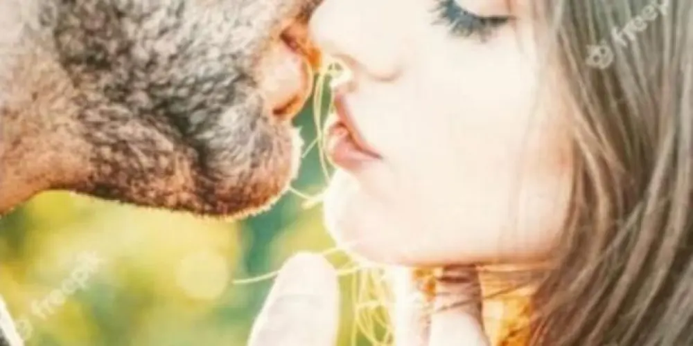 Imagem do grupo de WhatsApp ❤️Amor sem Fronteiras ❤️