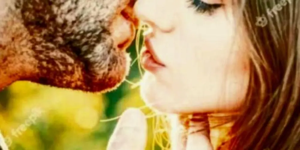 Imagem do grupo de WhatsApp 🩷Amor Sem Fronteiras 🩷