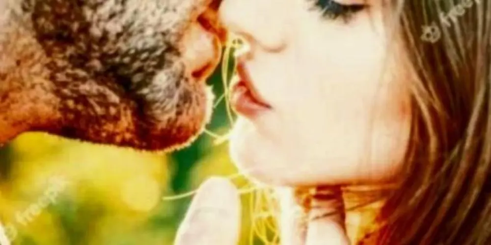 Imagem do grupo de WhatsApp 🩷Amor Sem Fronteiras 🩷