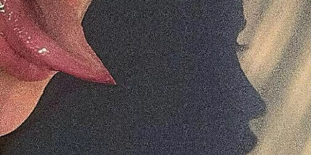 Imagem do grupo de WhatsApp Amores