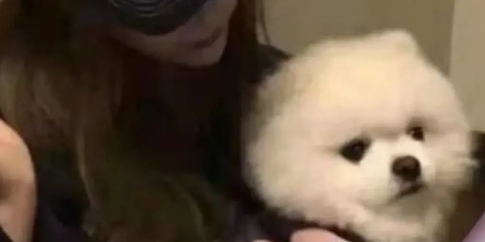 Imagem do grupo de WhatsApp Amorzinho🥹🫶🏻