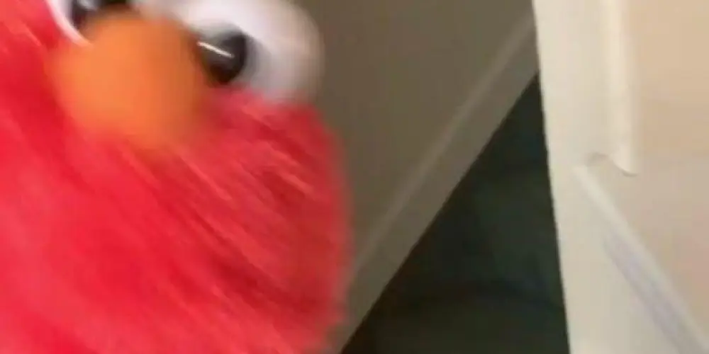 Imagem do grupo de WhatsApp 🎀amz//calls💝