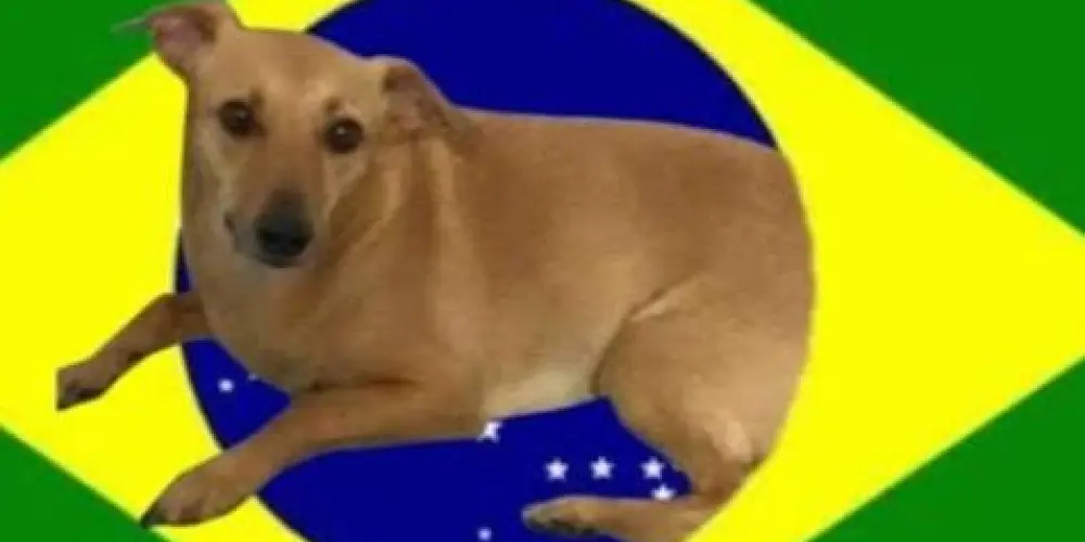 Imagem do grupo de WhatsApp AnaClara_Zoeira