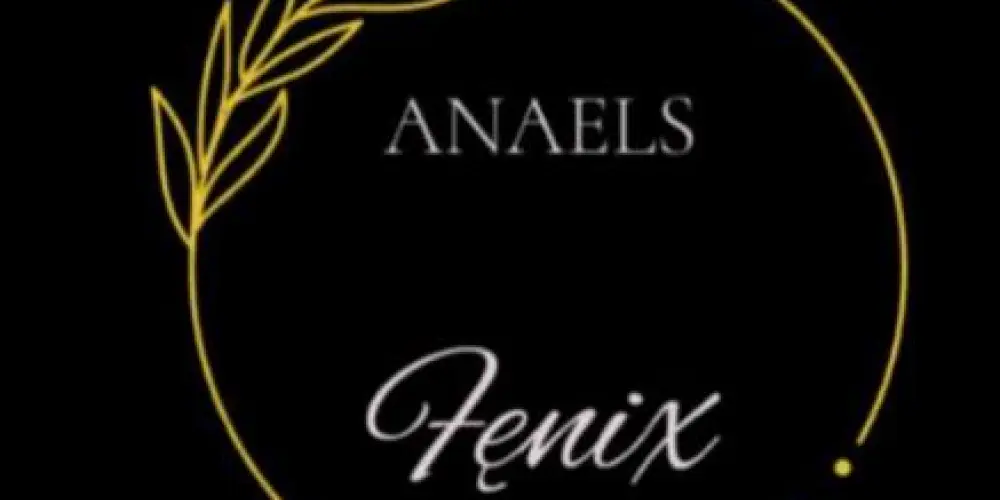 Imagem do grupo de WhatsApp Anael Fênix evolução espiritual