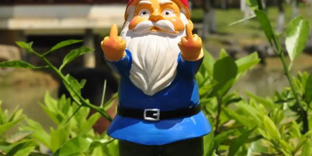 Imagem do grupo de WhatsApp ANÃO DE JARDIM