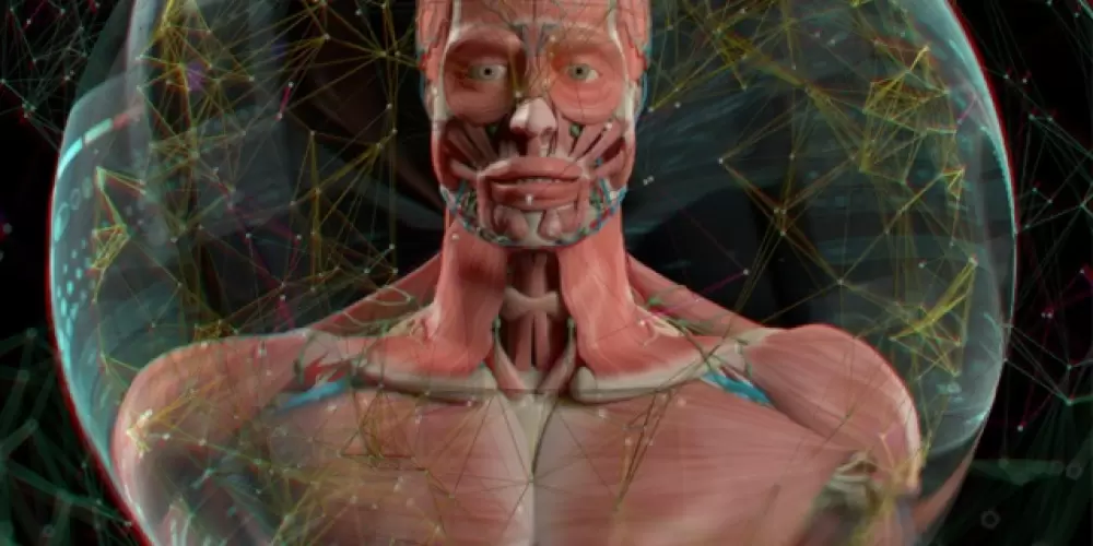 Imagem do grupo de WhatsApp Anatomy S. Platinum 1💎