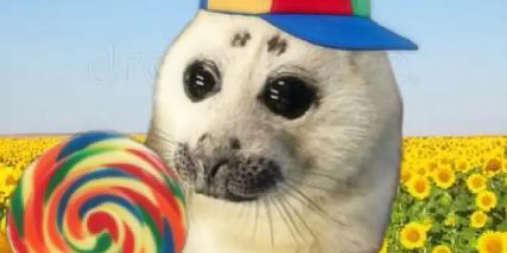 Imagem do grupo de WhatsApp ангелы