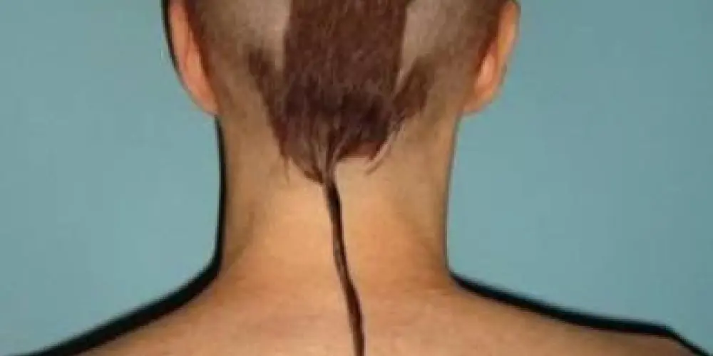 Imagem do grupo de WhatsApp Animais