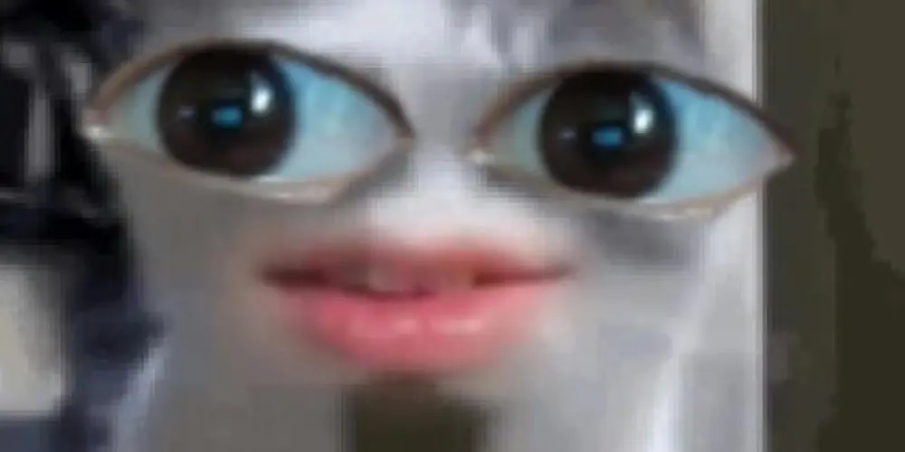 Imagem do grupo de WhatsApp 🐦‍🔥ANIMAUS 0.1🐦‍🔥