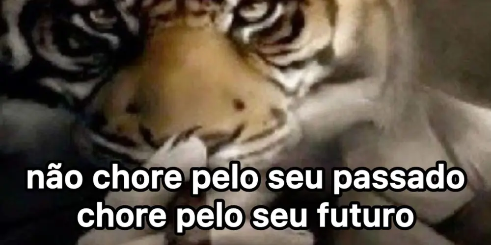 Imagem do grupo de WhatsApp 🎌 Animes Legend🇯🇵 「🇧🇷」