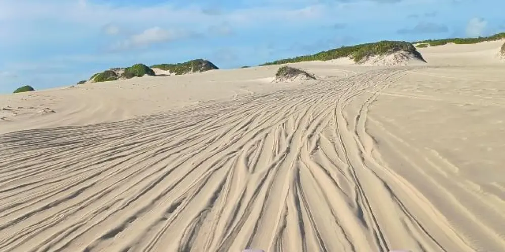 Imagem do grupo de WhatsApp Anomalia 2