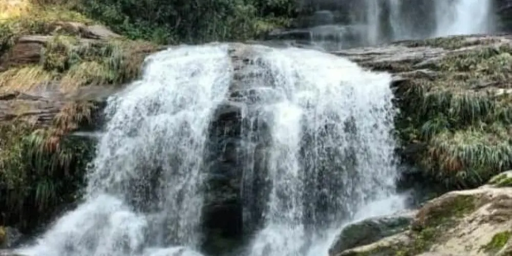 Imagem do grupo de WhatsApp Ansiedade depressão e solidão