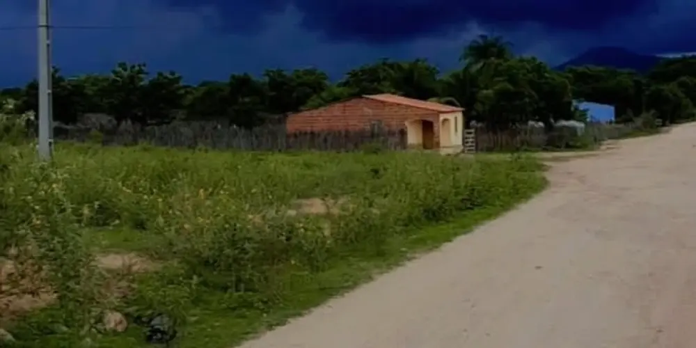 Imagem do grupo de WhatsApp Antinatalismo/child free