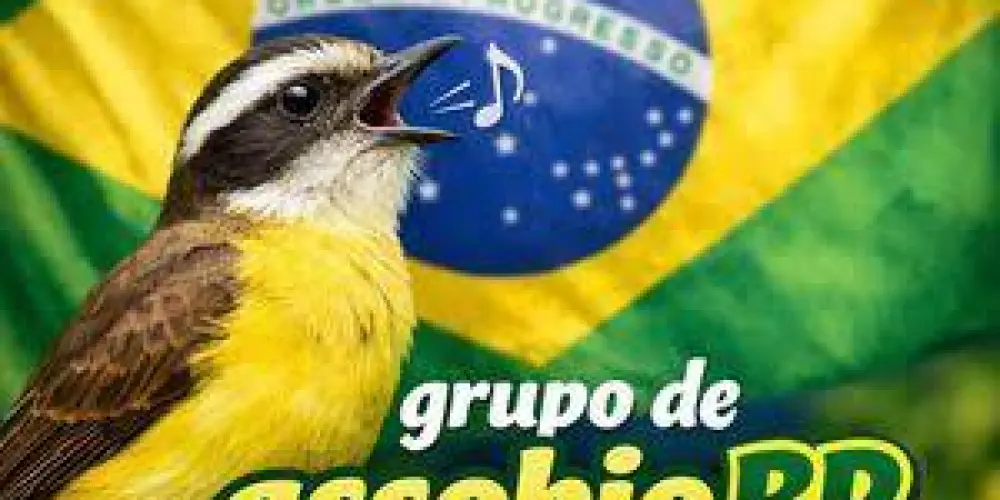 Imagem do grupo de WhatsApp APA - Apenas Assobios BR