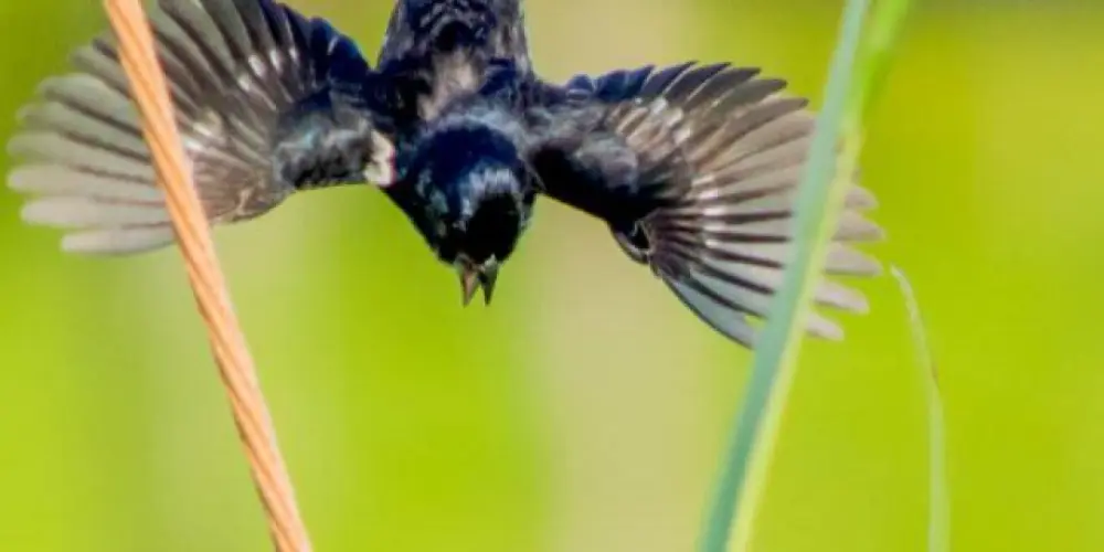 Imagem do grupo de WhatsApp APAIXONADO POR TIZIU SANTA CRUZ