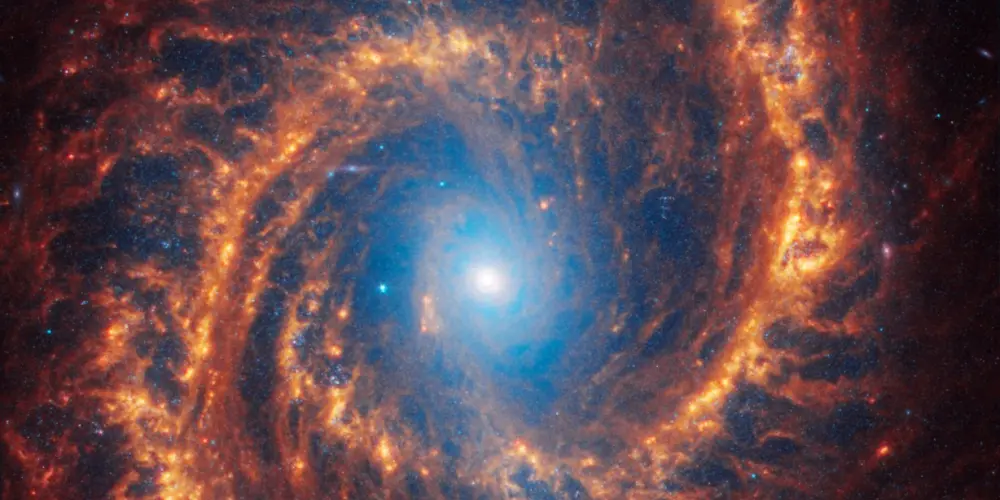 Imagem do grupo de WhatsApp Apenas Chegados 👺🍷 - Schauen Sie, wie schön er oder sie ist