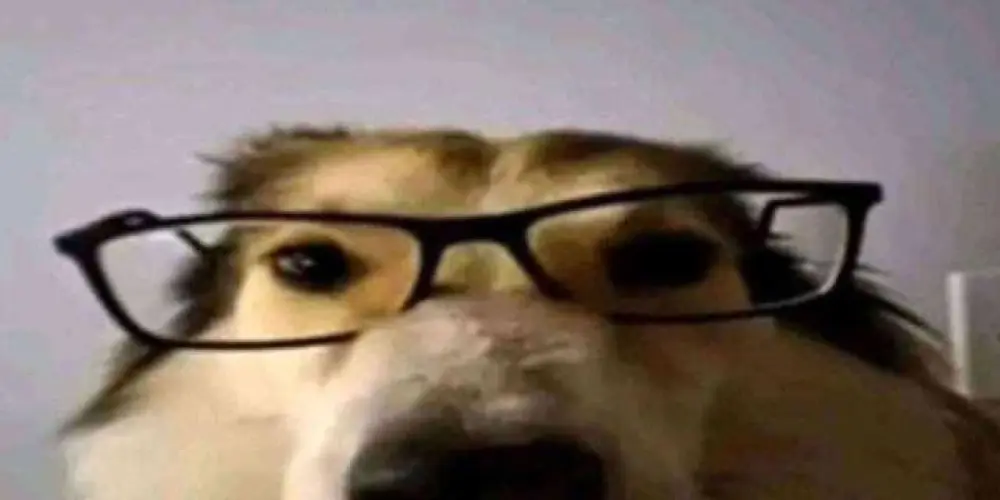 Imagem do grupo de WhatsApp Apenas Um Grupo Aleatório