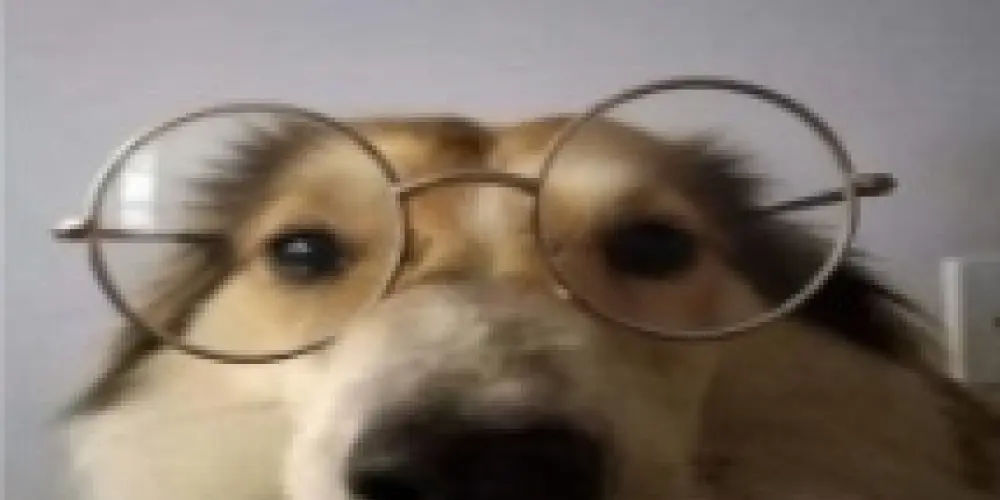 Imagem do grupo de WhatsApp Apenas Um Grupo Aleatório