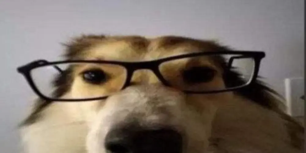 Imagem do grupo de WhatsApp Apenas Um Grupo Aleatório!