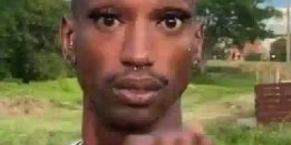 Imagem do grupo de WhatsApp apocalípticos