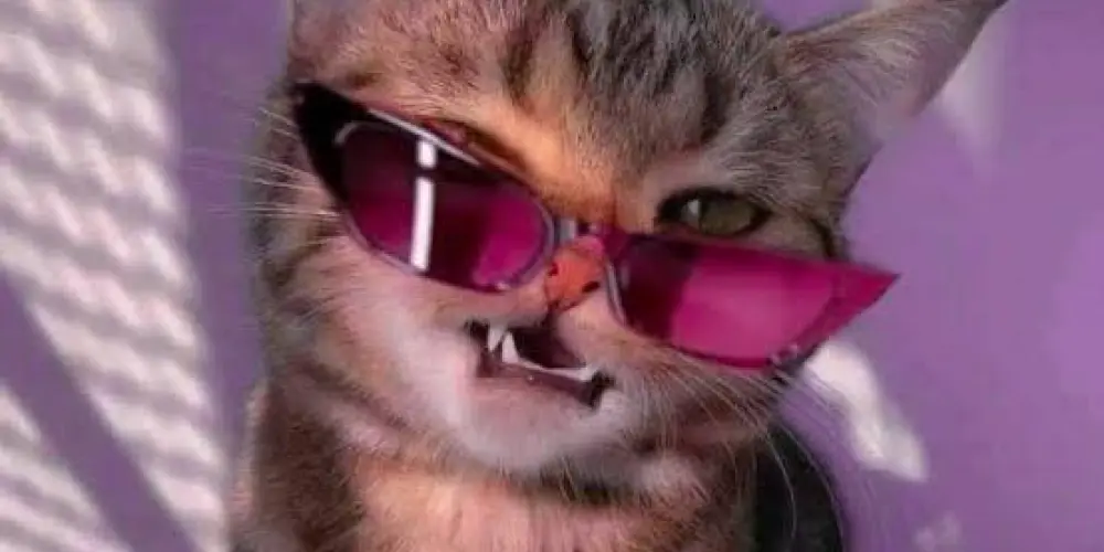 Imagem do grupo de WhatsApp Apocalípticos🤪👻