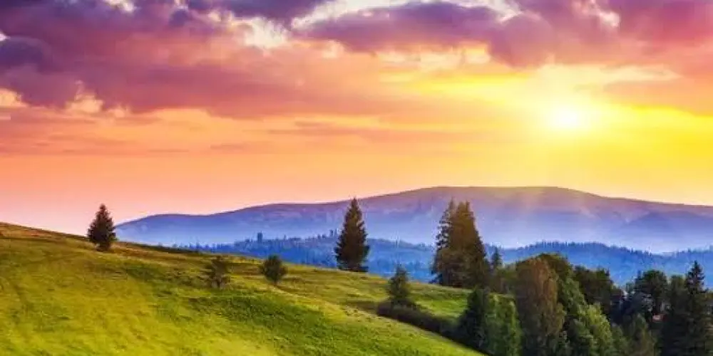 Imagem do grupo de WhatsApp Apoio e Amizades