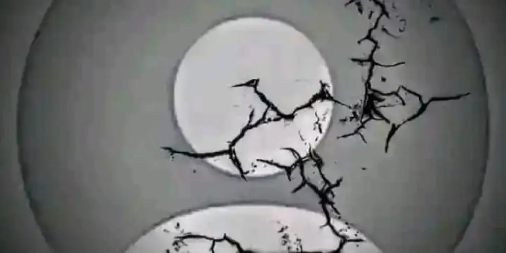 Imagem do grupo de WhatsApp Aposentados ff