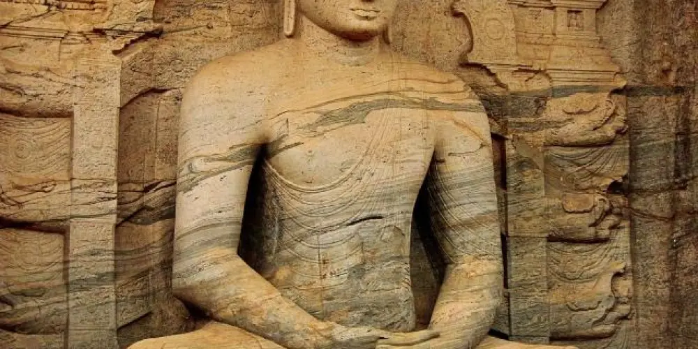 Imagem do grupo de WhatsApp Aprenda Meditação