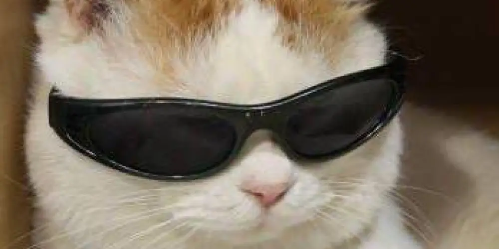 Imagem do grupo de WhatsApp 🗣️AQUI É O BRAZIL🇧🇷