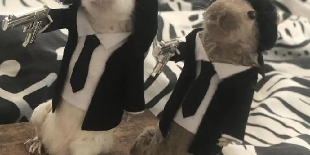 Imagem do grupo de WhatsApp Aqui nós pode 🥸