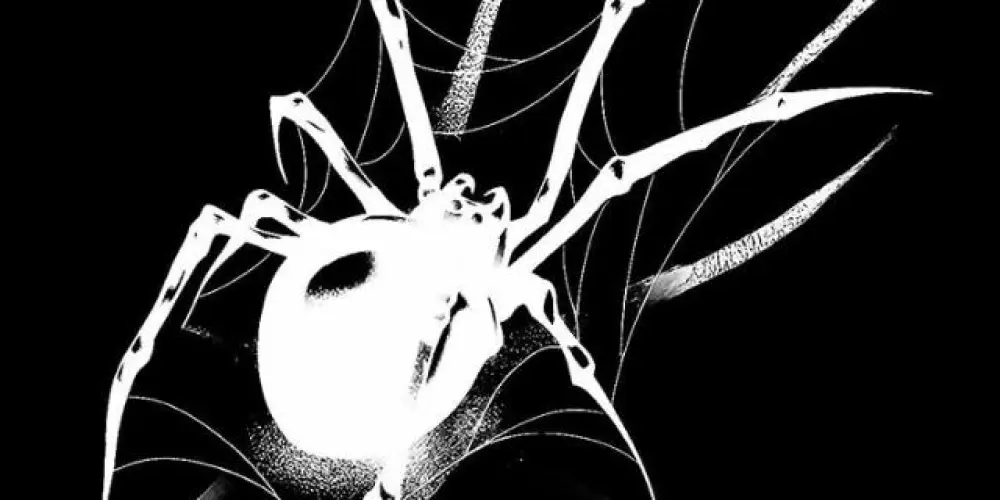 Imagem do grupo de WhatsApp Aranhas 🕷️