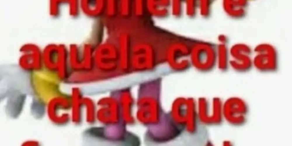 Imagem do grupo de WhatsApp ARCA DE NOÉ