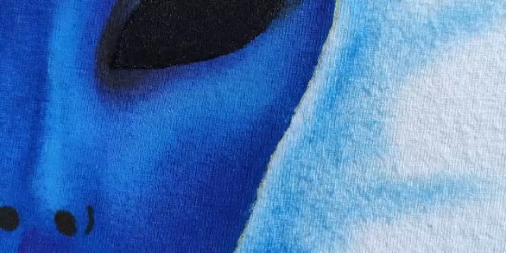 Imagem do grupo de WhatsApp Arcturianos & Seres de Luz 🙏🏻✨👽