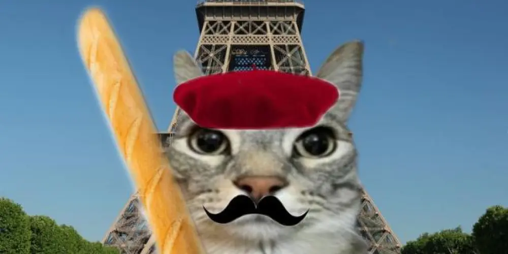 Imagem do grupo de WhatsApp Armário 0.2