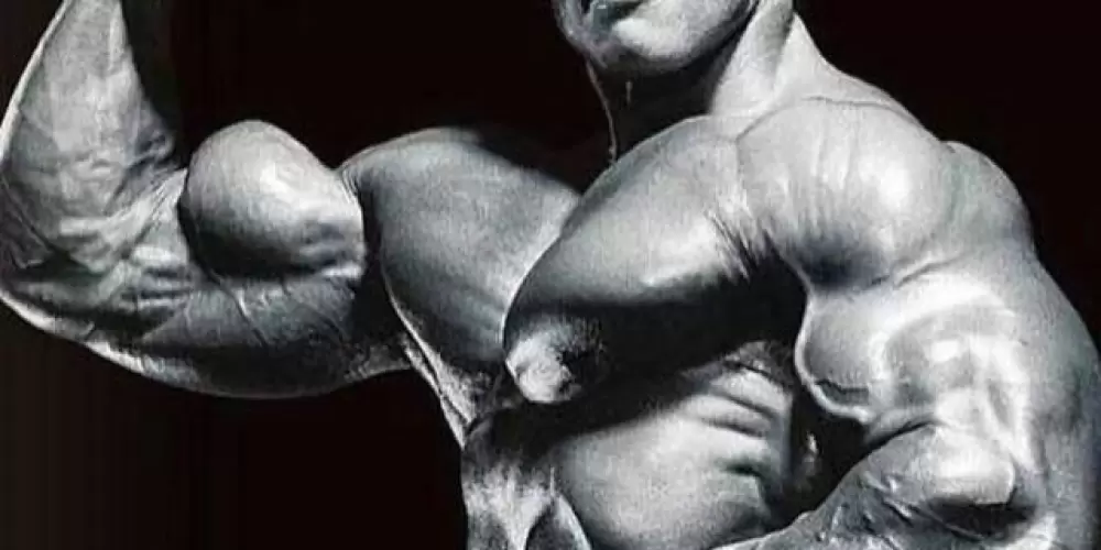 Imagem do grupo de WhatsApp Armário