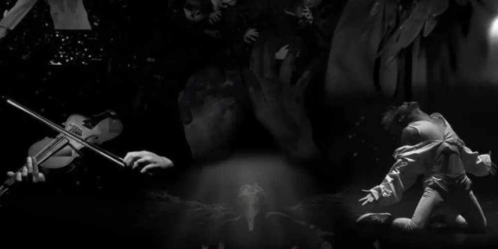 Imagem do grupo de WhatsApp 🦢🖤  ARMY BLACK SWAN  🖤🦢