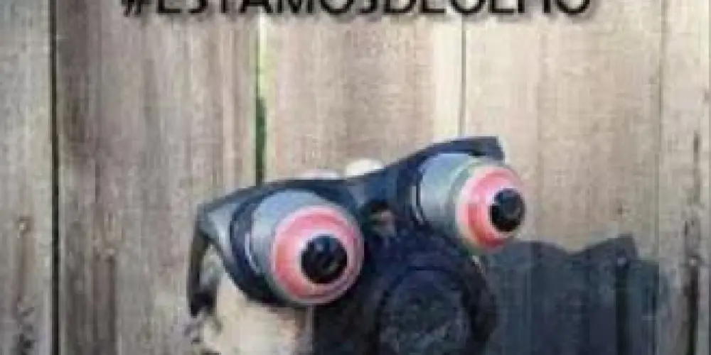 Imagem do grupo de WhatsApp 🚨Arrecadação 3🚨🚔