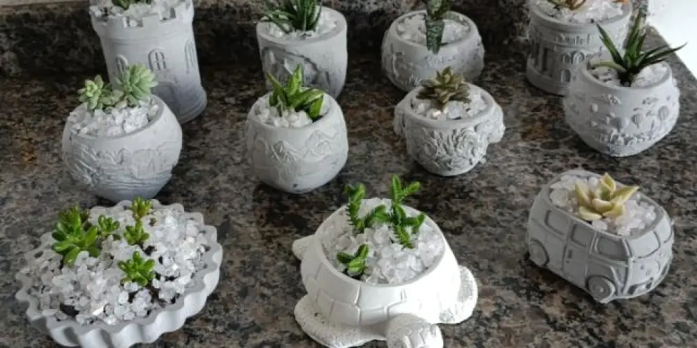 Imagem do grupo de WhatsApp Arte do Vaso Vivo