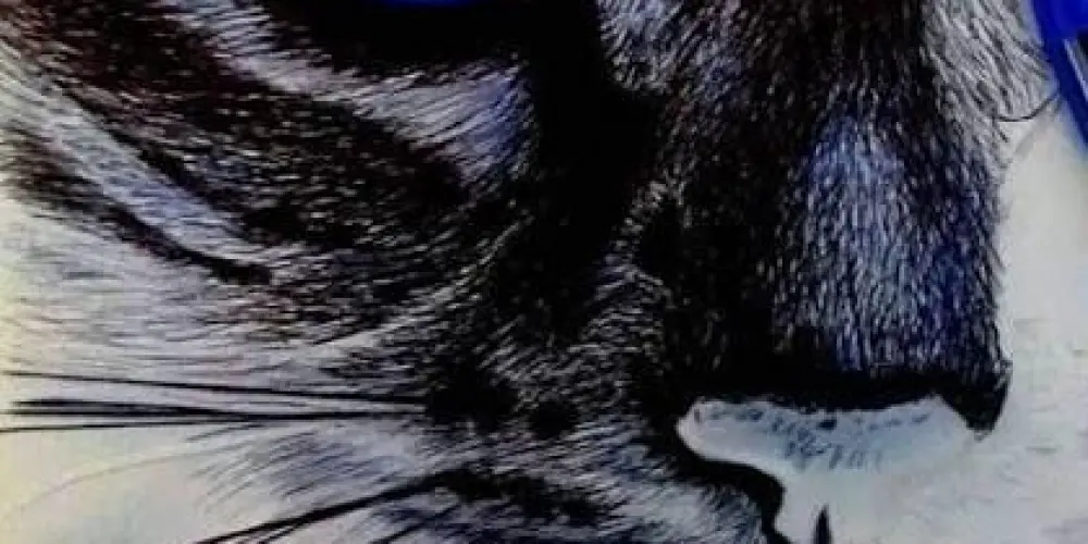 Imagem do grupo de WhatsApp Artes e resenha