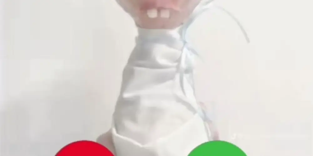 Imagem do grupo de WhatsApp As desgraça