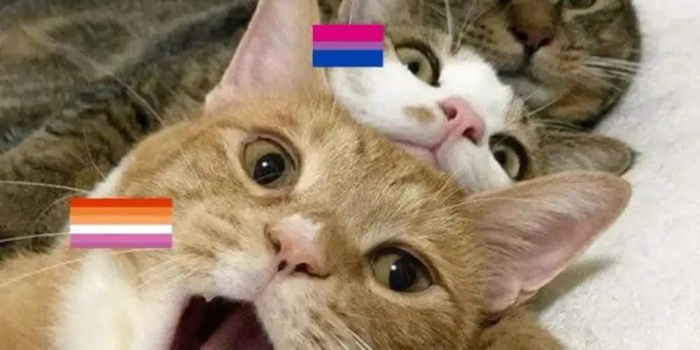 Imagem do grupo de WhatsApp AS DIVAS E AS MENINES✂️